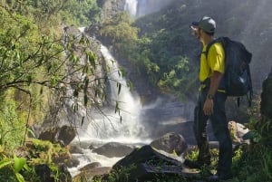 Trekking in the Atlantic Forest, Waterfalls, Stories. GOLD TRAIL.
