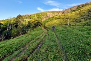Trekking in the Atlantic Forest, Waterfalls, Stories. GOLD TRAIL.