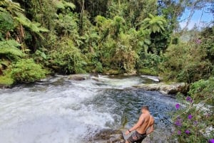 Trekking in the Atlantic Forest, Waterfalls, Stories. GOLD TRAIL.
