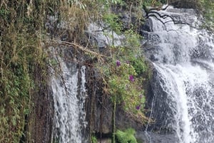 Trekking in the Atlantic Forest, Waterfalls, Stories. GOLD TRAIL.