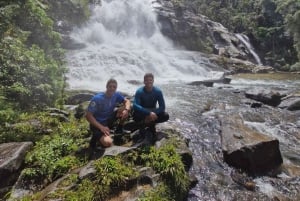 Trekking in the Atlantic Forest, Waterfalls, Stories. GOLD TRAIL.