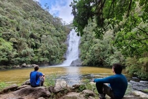 Trekking in the Atlantic Forest, Waterfalls, Stories. GOLD TRAIL.
