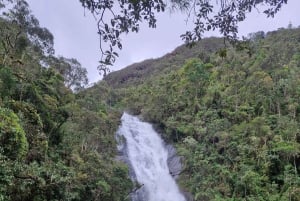 Trekking in the Atlantic Forest, Waterfalls, Stories. GOLD TRAIL.