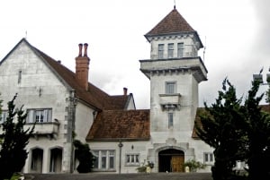 Campos do Jordão: Full-Day Private Tour from São Paulo