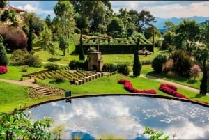 Campos do Jordão: Private 8-Stunden-Tour