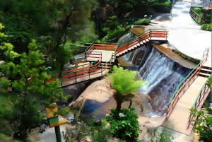 Campos do Jordão Det brasilianska Schweiz, heldagsutflykt