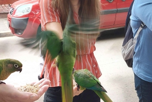 Campos do Jordão Det brasilianska Schweiz, heldagsutflykt