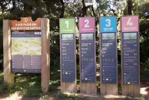 Campos do Jordão Det brasilianska Schweiz, heldagsutflykt