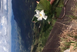 Campos do Jordão Det brasilianska Schweiz, heldagsutflykt