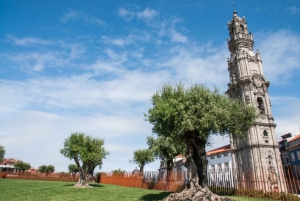 Kombi: Porto Stadtführung Halbtagestour & Aveiro Halbtagestour