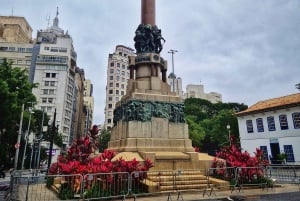 Companionship of a bilingual guide in São Paulo