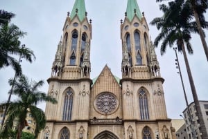 Companionship of a bilingual guide in São Paulo