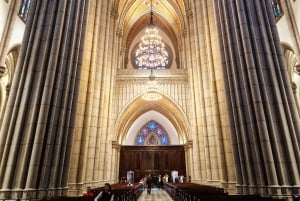 Companionship of a bilingual guide in São Paulo