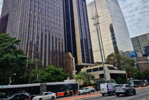 Companionship of a bilingual guide in São Paulo
