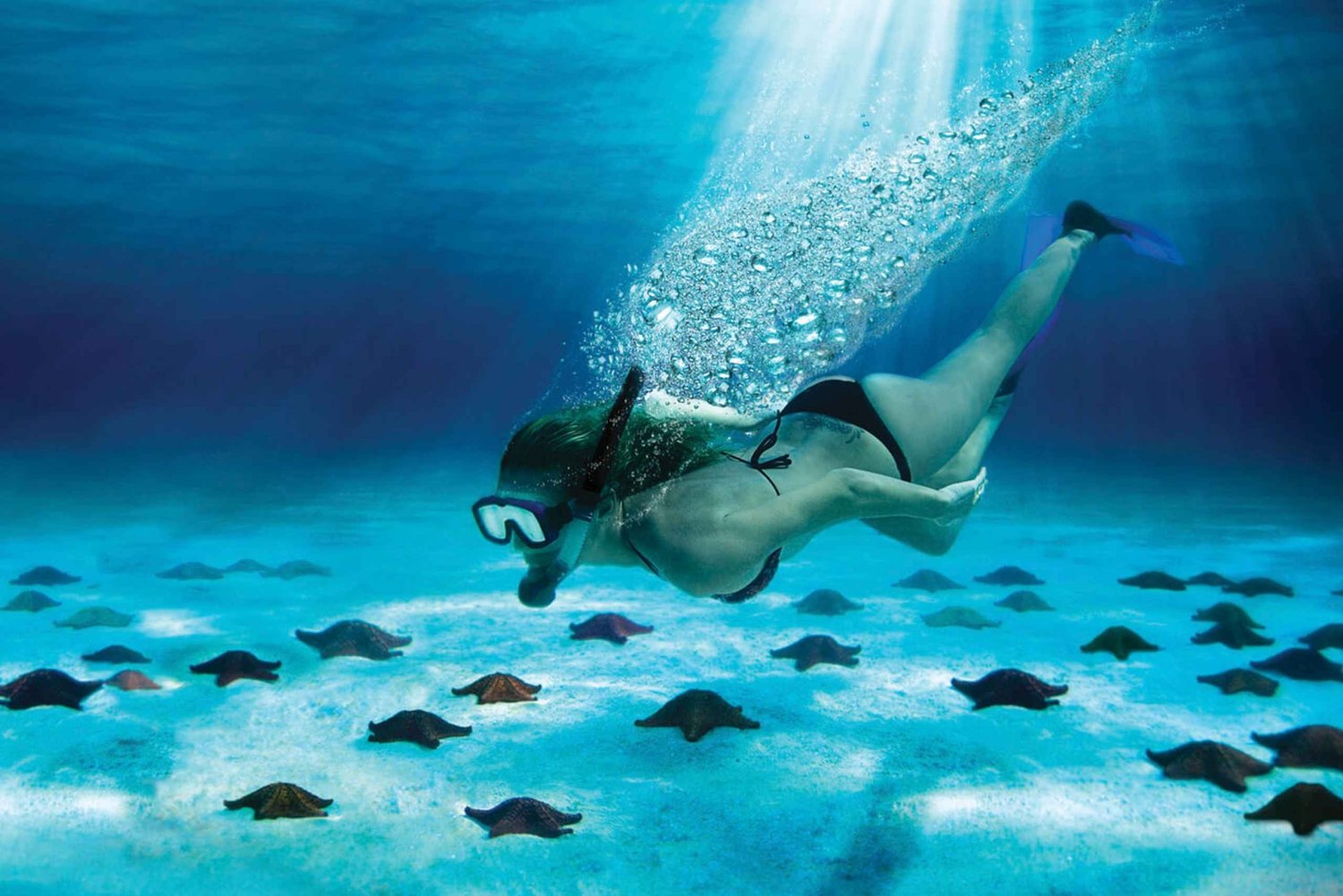 Cozumel: Snorkling i El Cielo & Palancar med öppen bar & Ceviche
