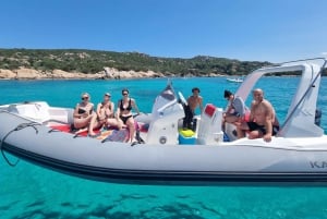 Osservazione e nuoto dei delfini a Golfo Aranci da Porto San Paolo