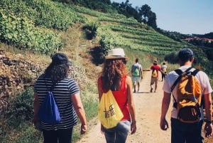 Fra Porto en privat oplevelse til Niepoort med frokost der