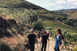 Fra Porto en privat oplevelse til Niepoort med frokost der