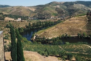 Fra Porto en privat oplevelse til Niepoort med frokost der