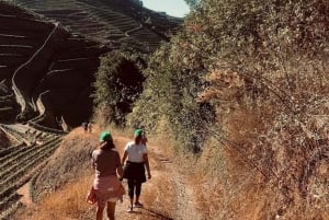 Fra Porto en privat oplevelse til Niepoort med frokost der