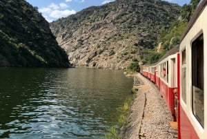 Il Douro da Porto: scopri la culla del vino Barca Velha