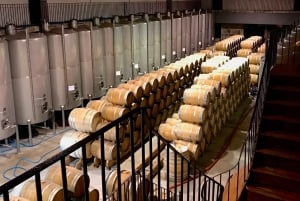 Il Douro da Porto: scopri la culla del vino Barca Velha