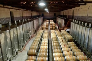 Il Douro da Porto: scopri la culla del vino Barca Velha