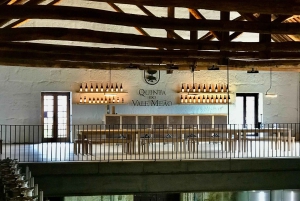 Il Douro da Porto: scopri la culla del vino Barca Velha