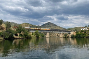 Il Douro da Porto: scopri la culla del vino Barca Velha