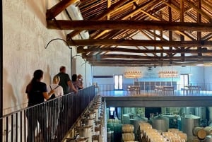 Il Douro da Porto: scopri la culla del vino Barca Velha