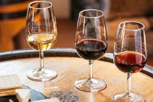 El Duero desde Oporto: cata de añadas en una finca vinícola secreta.