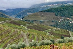 El Duero desde Oporto: cata de añadas en una finca vinícola secreta.