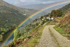 El Duero desde Oporto: cata de añadas en una finca vinícola secreta.