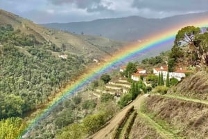 El Duero desde Oporto: cata de añadas en una finca vinícola secreta.