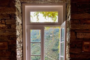 El Duero desde Oporto: cata de añadas en una finca vinícola secreta.