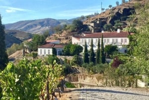 El Duero desde Oporto: cata de añadas en una finca vinícola secreta.