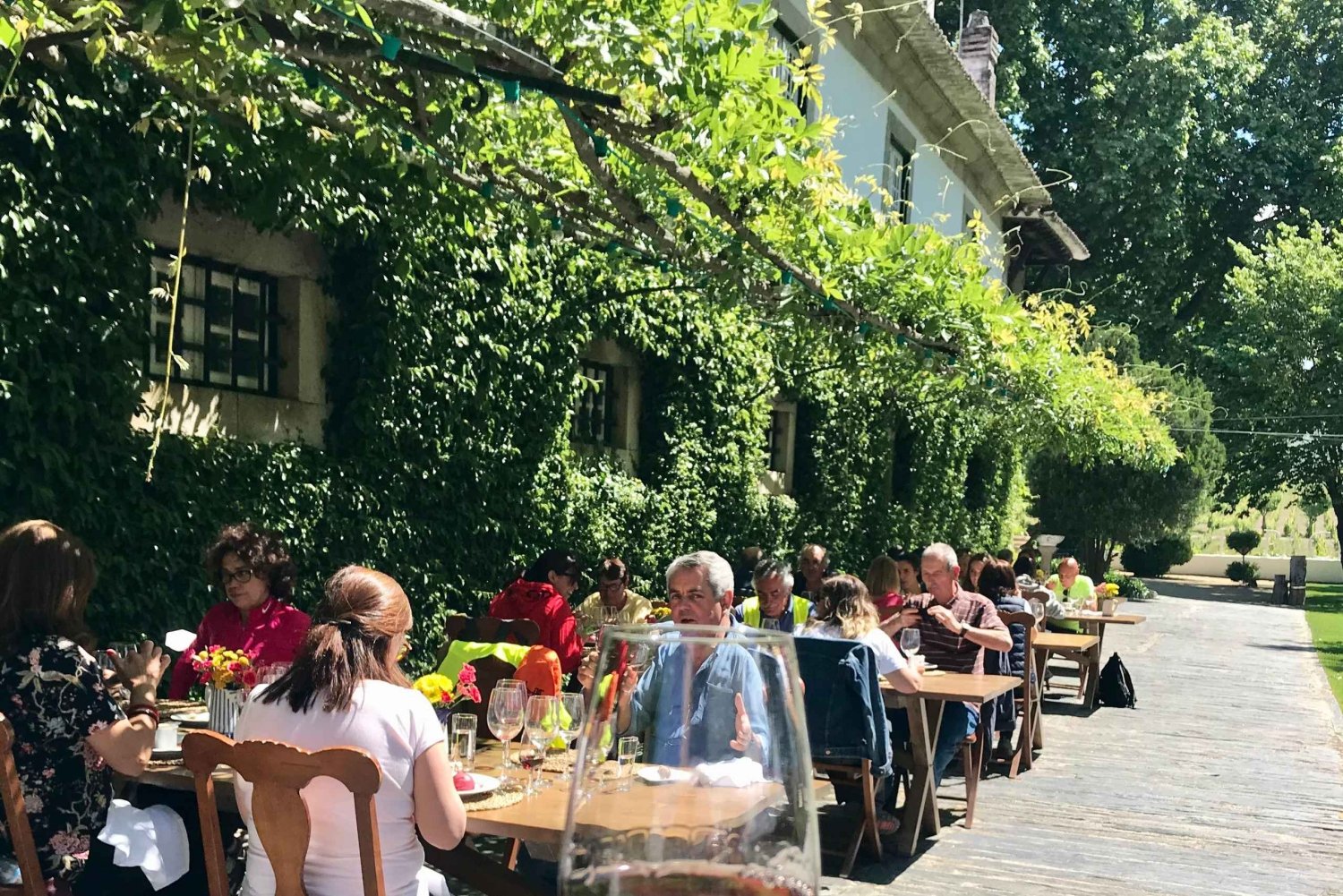 Fra Porto: luksustur med fuld frokost på Quinta da Pacheca