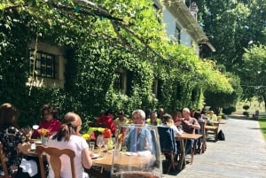 Au départ de Porto : visite de luxe avec déjeuner complet à la Quinta da Pacheca