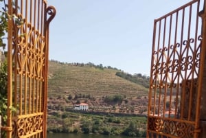 Au départ de Porto : visite de luxe avec déjeuner complet à la Quinta da Pacheca