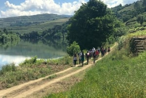Au départ de Porto : visite de luxe avec déjeuner complet à la Quinta da Pacheca