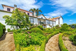 Douro: Quinta de Santa Júlia Tour, & Wine Tasting