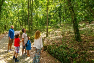 Douro: Quinta de Santa Júlia Tour, & Wine Tasting