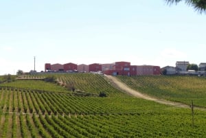 Douro-dalen: Portvin på flaske VS portvin lagret på fad