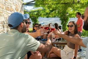 Porto: Douro Valley, 2 Wineries, Lunch, and 1-Hour Boat Tour