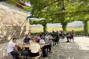 Porto: Douro Valley, 2 Wineries, Lunch, and 1-Hour Boat Tour