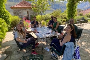 Porto: Douro Valley, 2 Wineries, Lunch, and 1-Hour Boat Tour