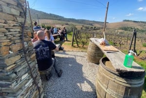 Porto: Douro Valley, 2 Wineries, Lunch, and 1-Hour Boat Tour