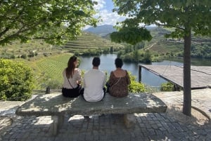 Porto: Douro Valley, 2 Wineries, Lunch, and 1-Hour Boat Tour