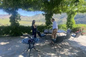 Porto: Douro Valley, 2 Wineries, Lunch, and 1-Hour Boat Tour
