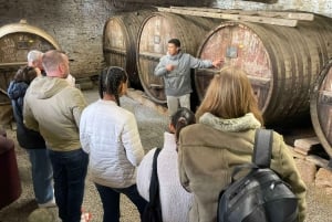 Porto: Douro Valley, 2 Wineries, Lunch, and 1-Hour Boat Tour